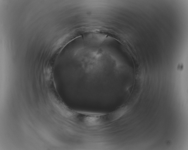 X0000114210139200910091332