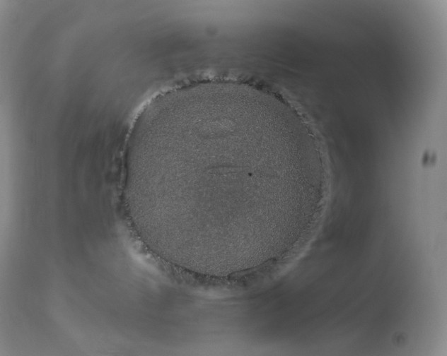 X0000114210144200910091332
