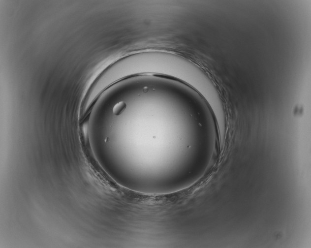 X0000114210148200910091332