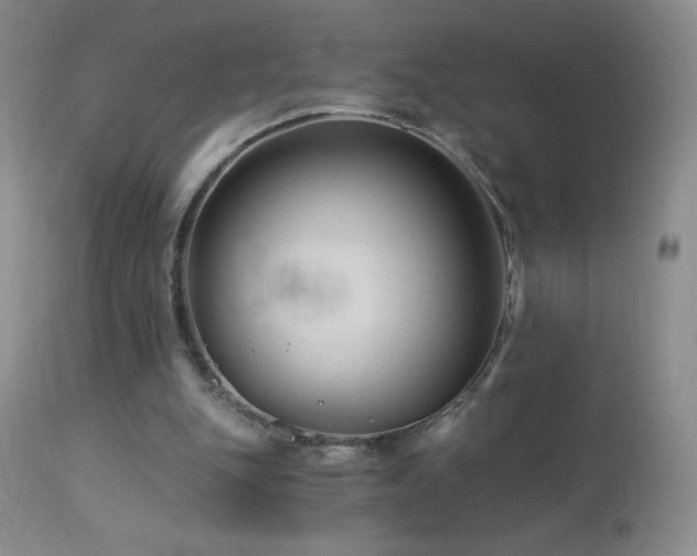 X0000114210151200910091332