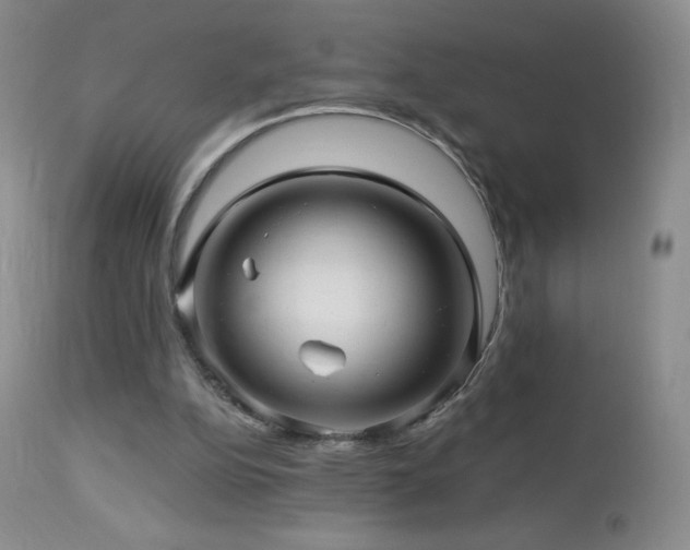 X0000114210152200910091332