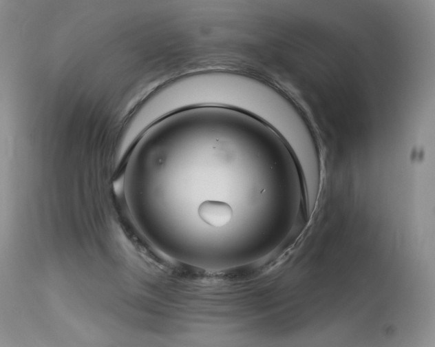X0000114210154200910091332