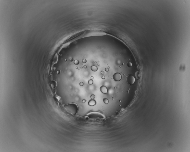 X0000114210155200910091332