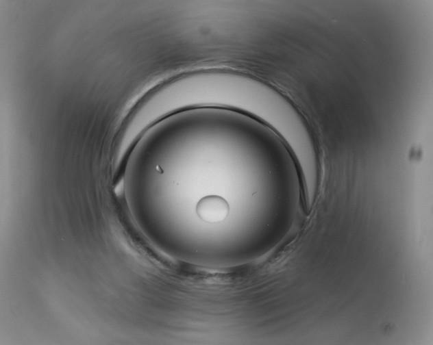 X0000114210156200910091332