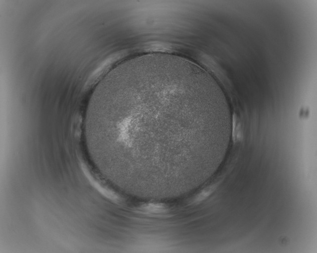 X0000114210157200910091332