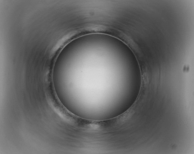 X0000114210159200910091332