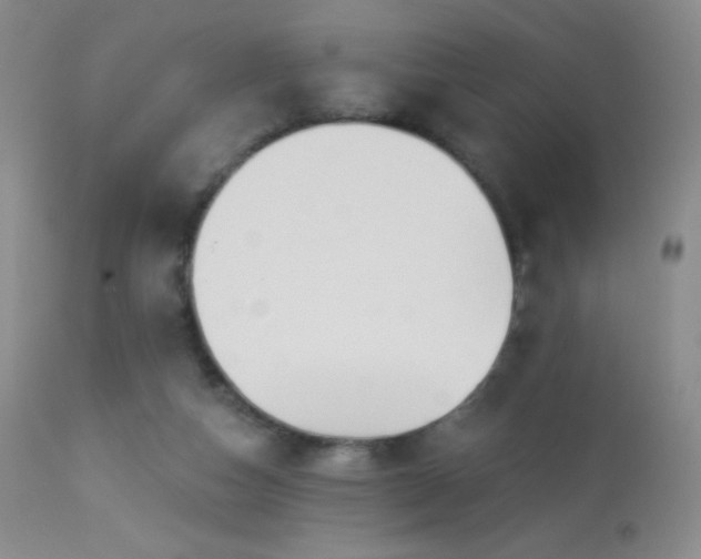 X0000114210162200910091332