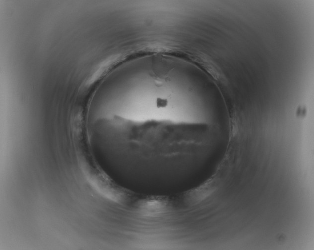 X0000114210163200910091332