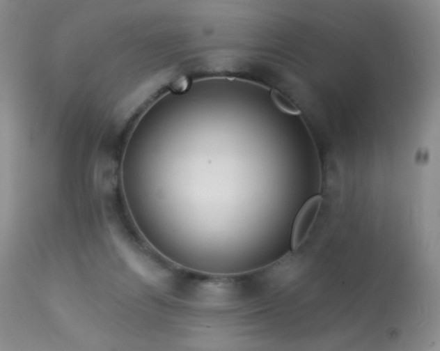 X0000114210164200910091332