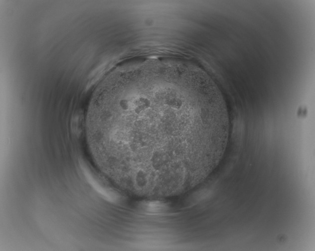 X0000114210165200910091332