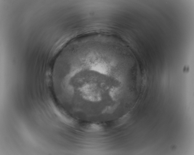 X0000114210166200910091332