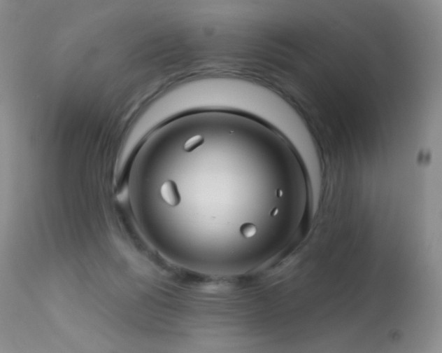 X0000114210168200910091332