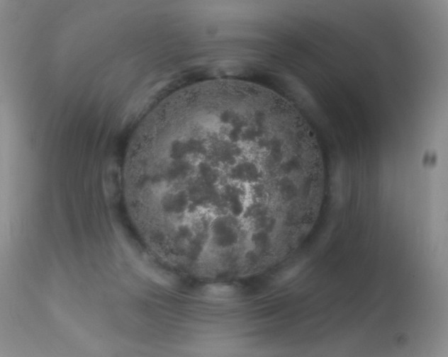 X0000114210169200910091332