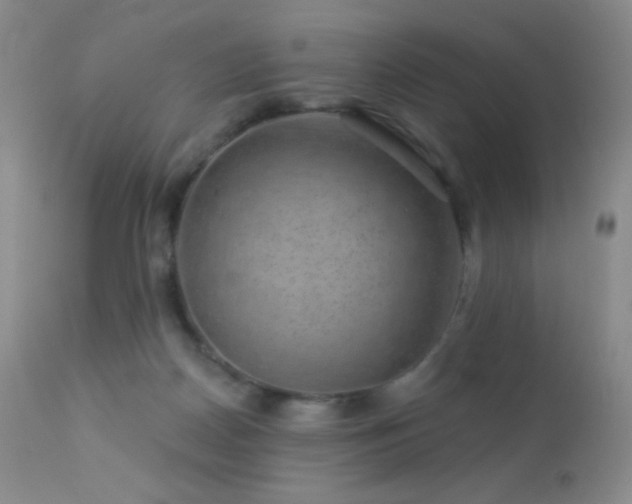 X0000114210170200910091332