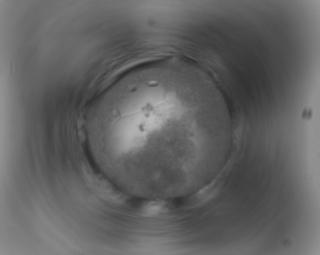 X0000114210175200910091332