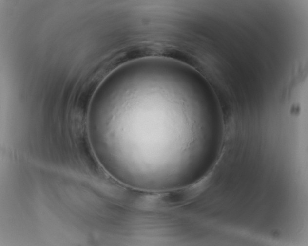 X0000114210178200910091332