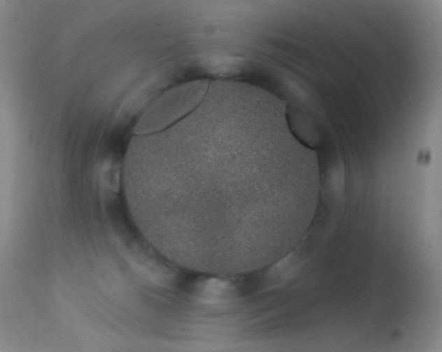X0000114210180200910091332