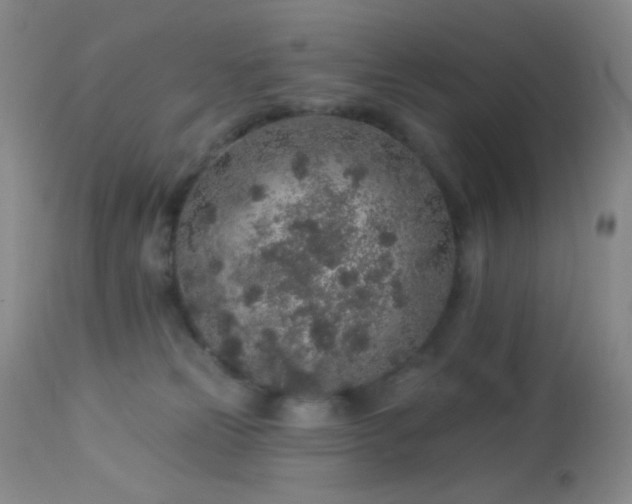 X0000114210181200910091332