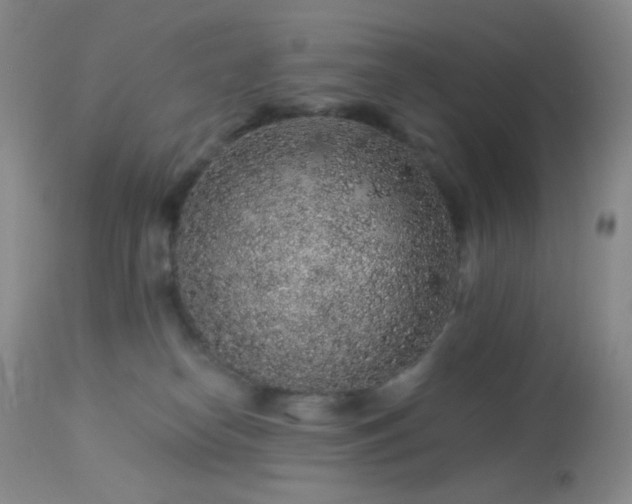 X0000114210182200910091332