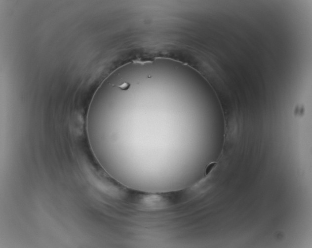 X0000114210183200910091332