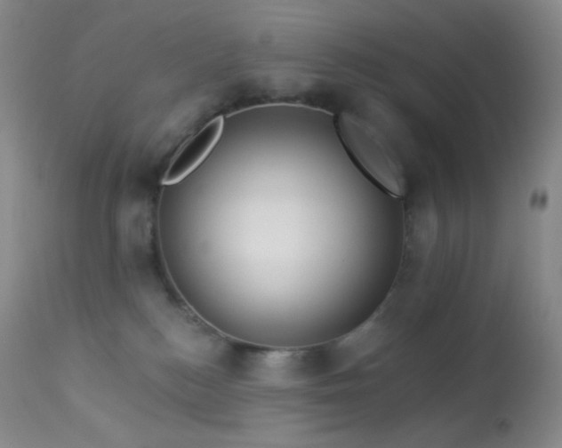 X0000114210184200910091332