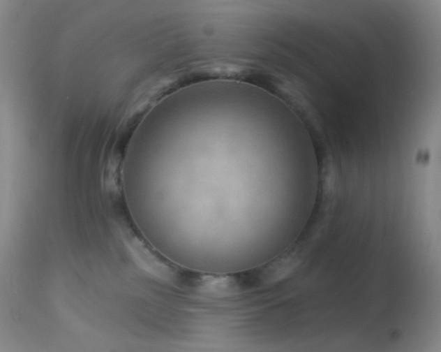 X0000114210185200910091332