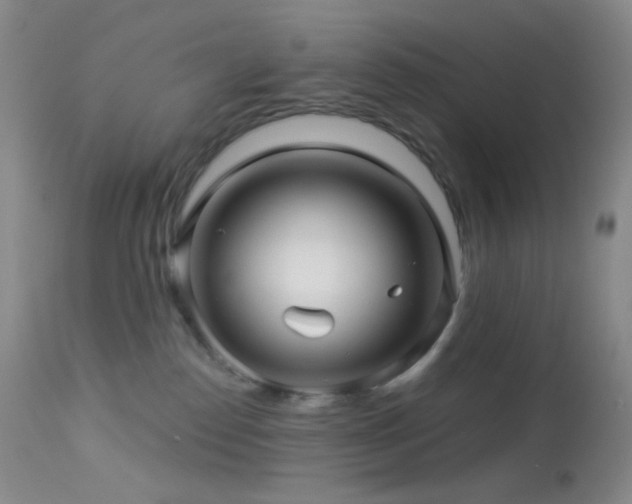 X0000114210186200910091332