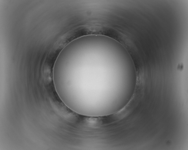 X0000114210187200910091332