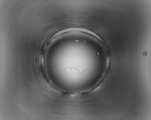 X0000114210188200910091332