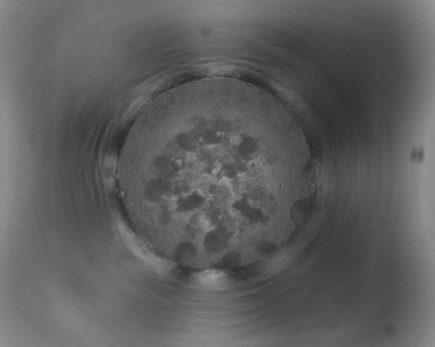 X0000114210189200910091332
