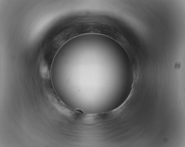 X0000114210191200910091332