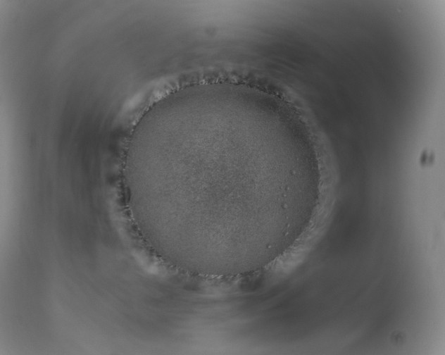 X0000114210192200910091332