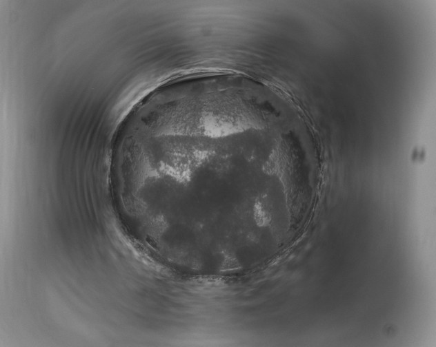 X0000114210194200910091332