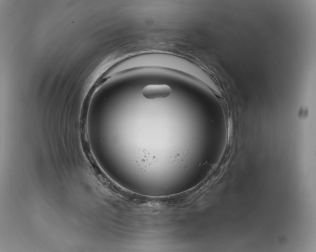 X0000114210195200910091332