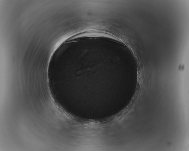 X0000114210196200910091332