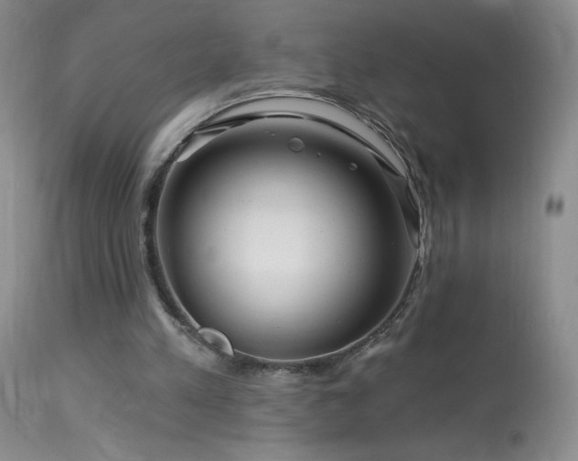 X0000114210197200910091332