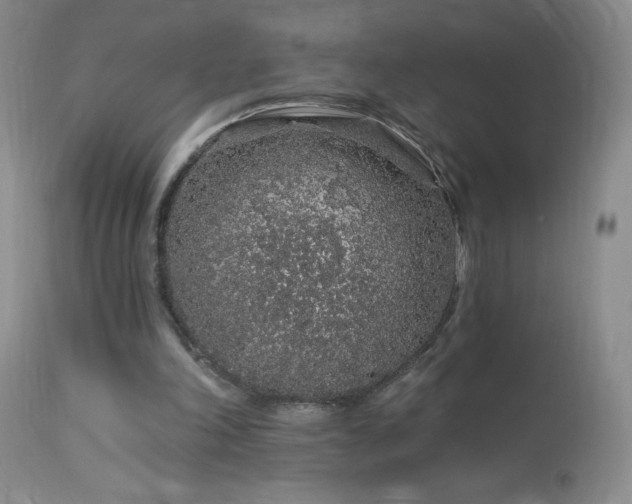 X0000114210198200910091332