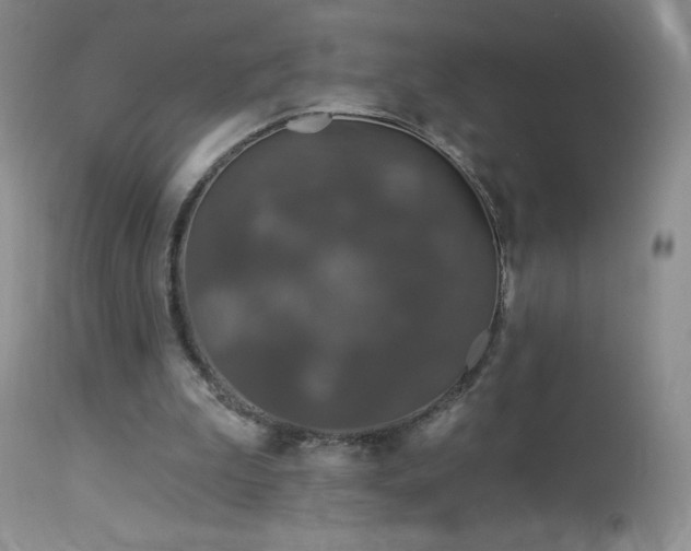 X0000114210199200910091332
