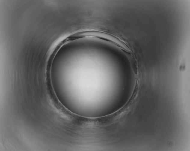 X0000114210200200910091331