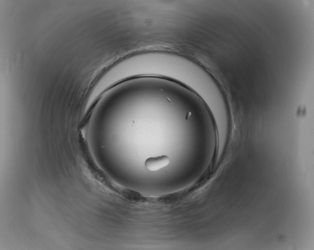 X0000114210201200910091331