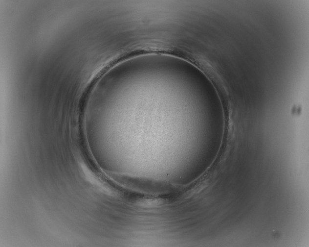 X0000114210202200910091331
