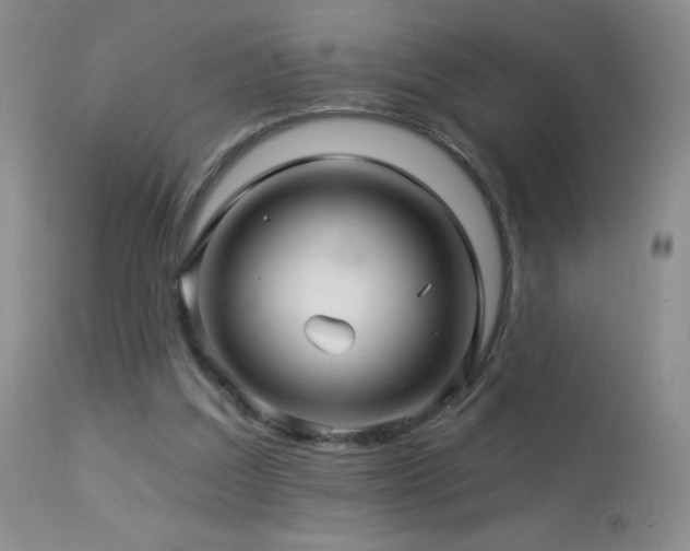 X0000114210203200910091331