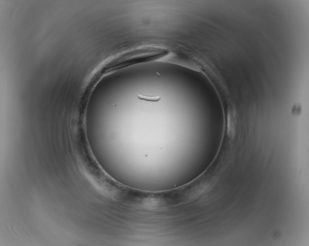 X0000114210204200910091331