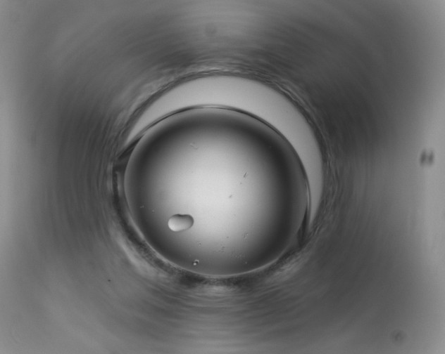 X0000114210205200910091331