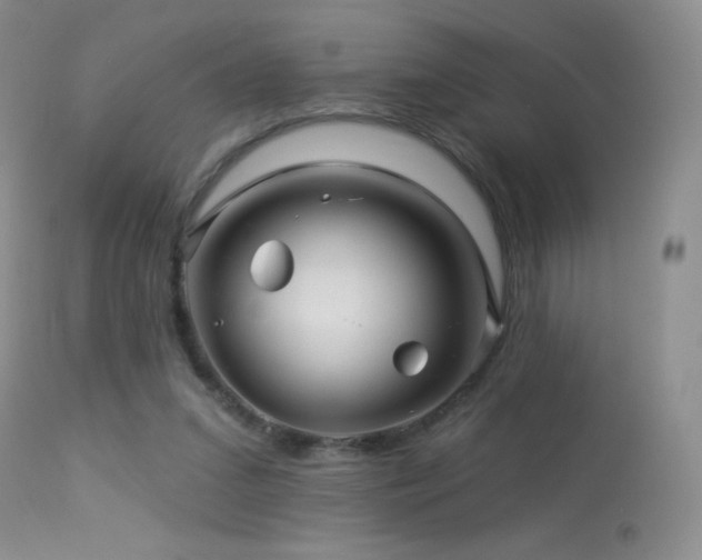 X0000114210207200910091331
