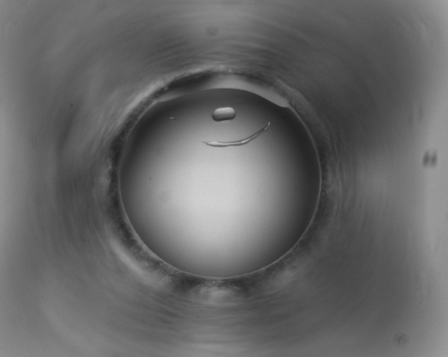 X0000114210208200910091331