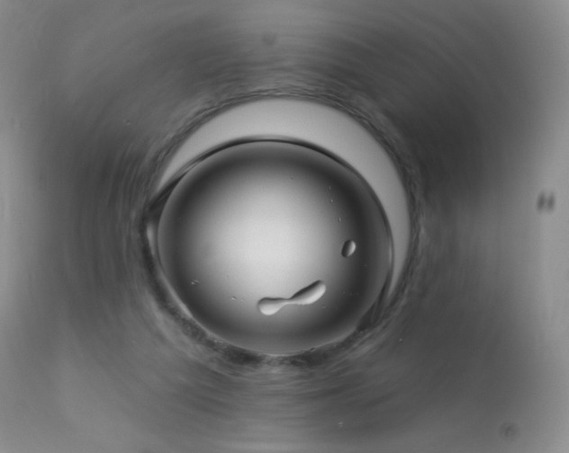 X0000114210209200910091331