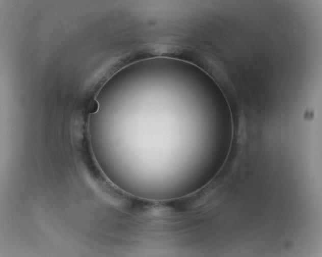 X0000114210210200910091331