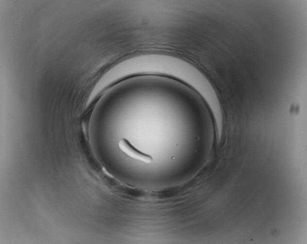 X0000114210211200910091331