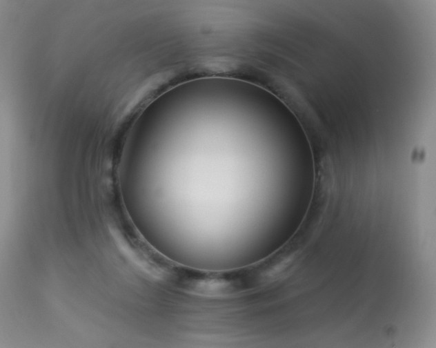 X0000114210212200910091331
